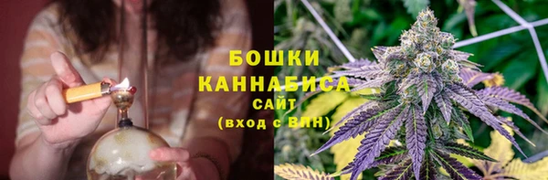 гидропоника Рославль